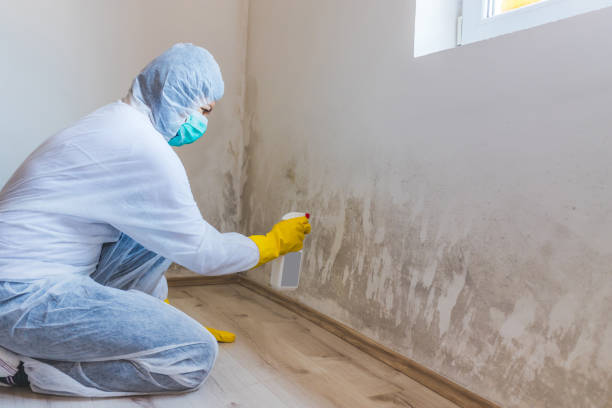 Mold Remediation specialist working in Savage